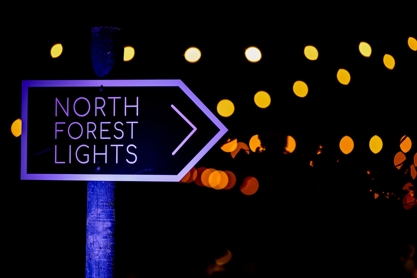 North Forest Lights