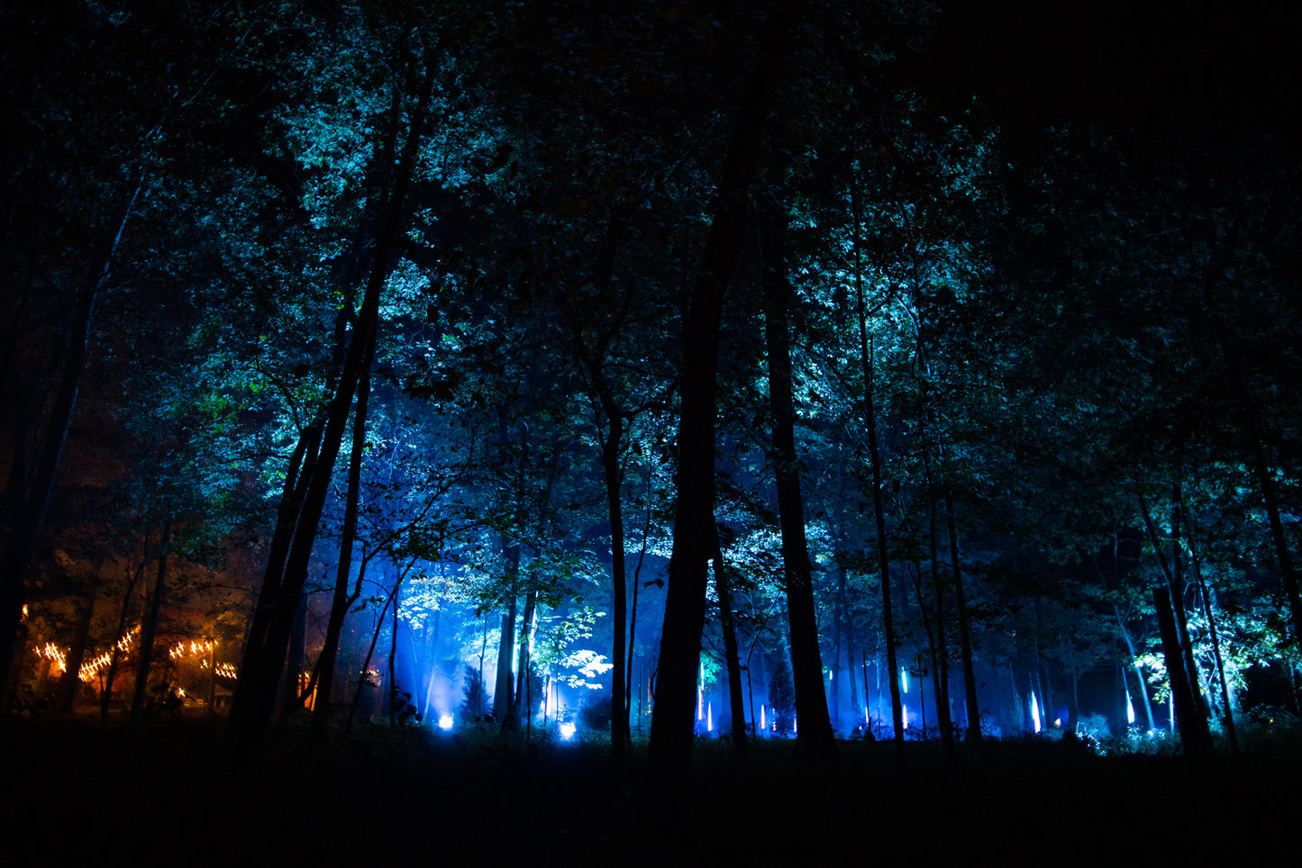 North Forest Lights