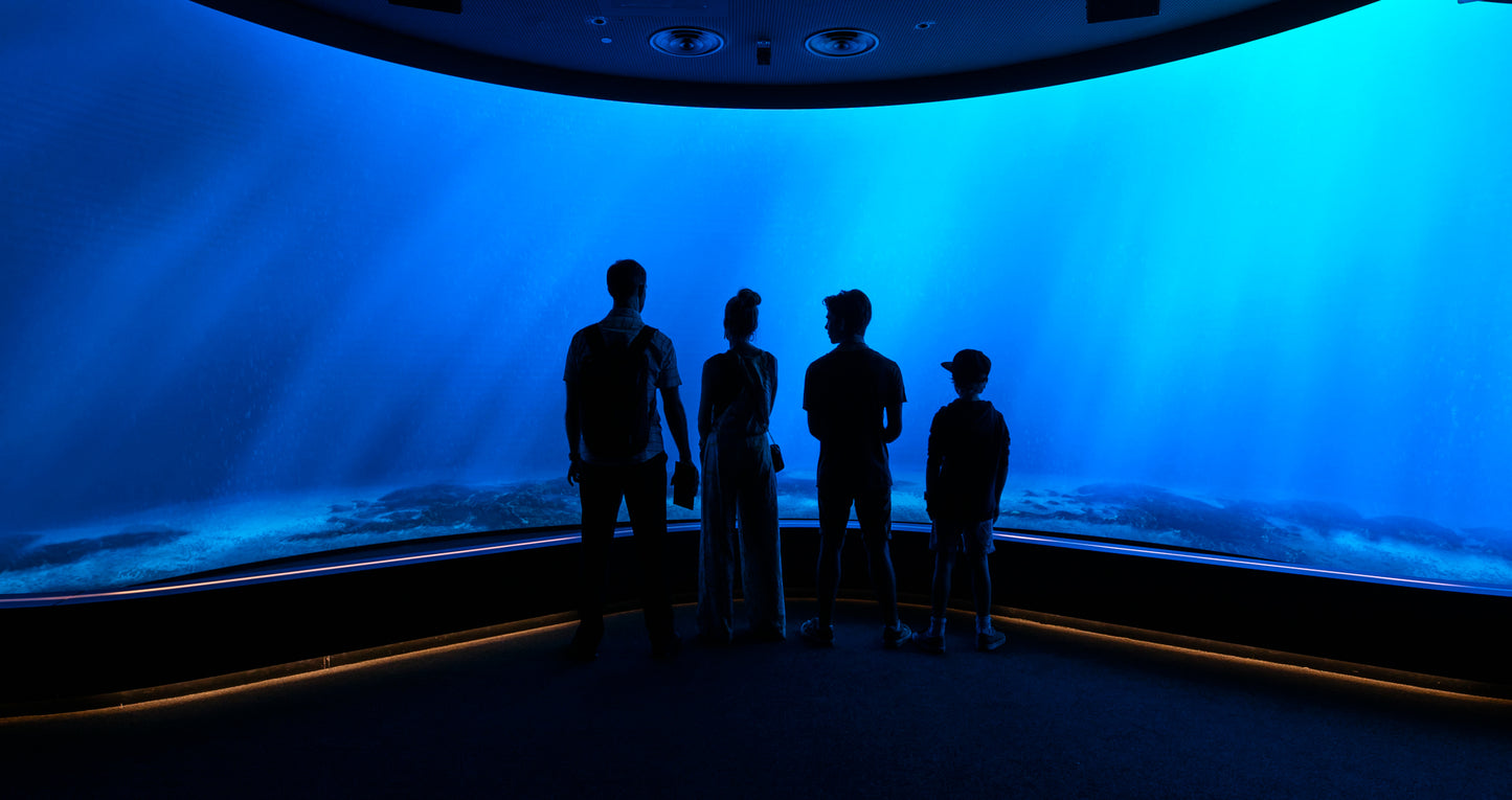 « Changi Experience Studio » à l'aéroport de Changi