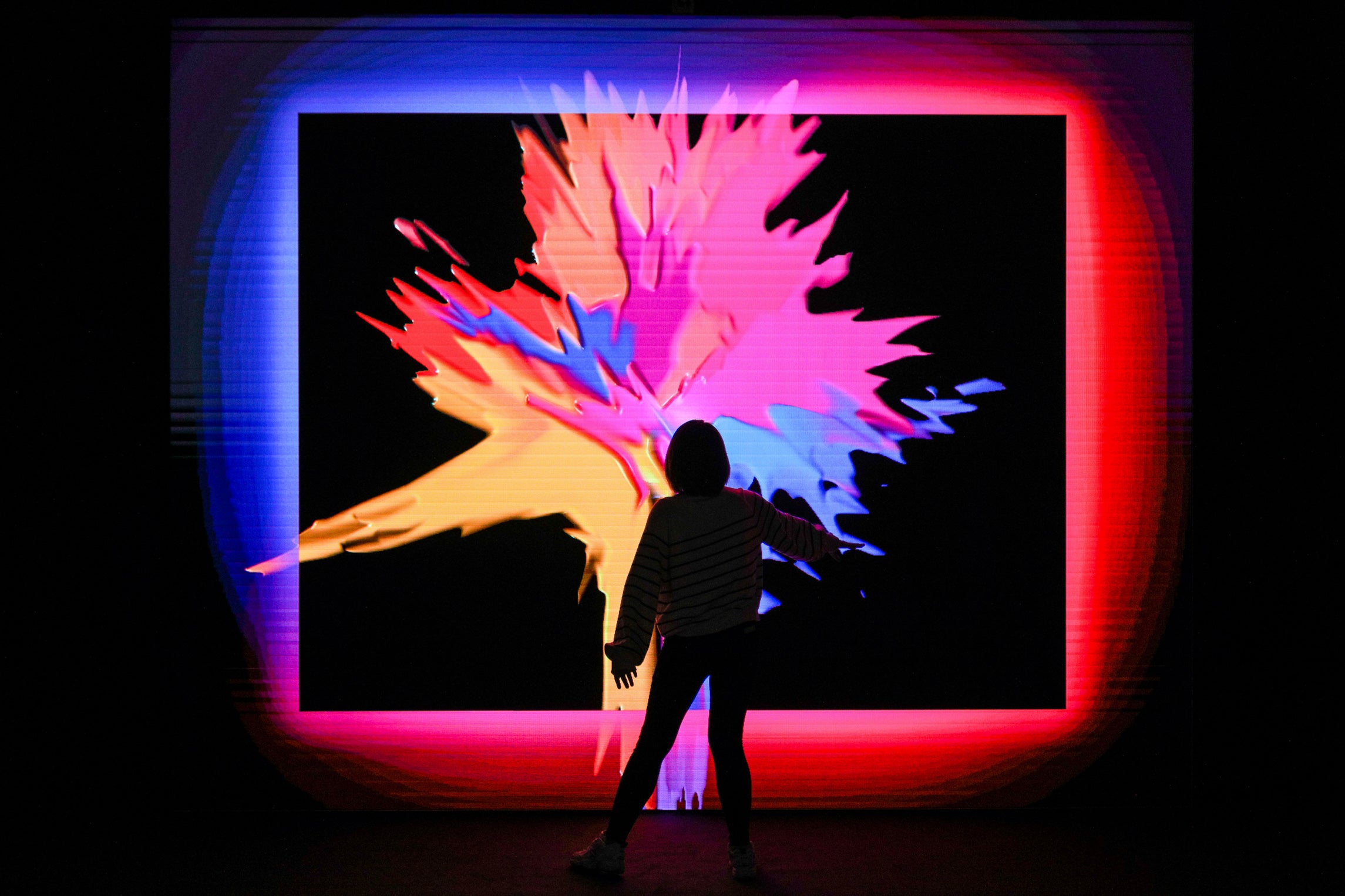 Animistic Imagery: a digital art exhibit I Moment Factory