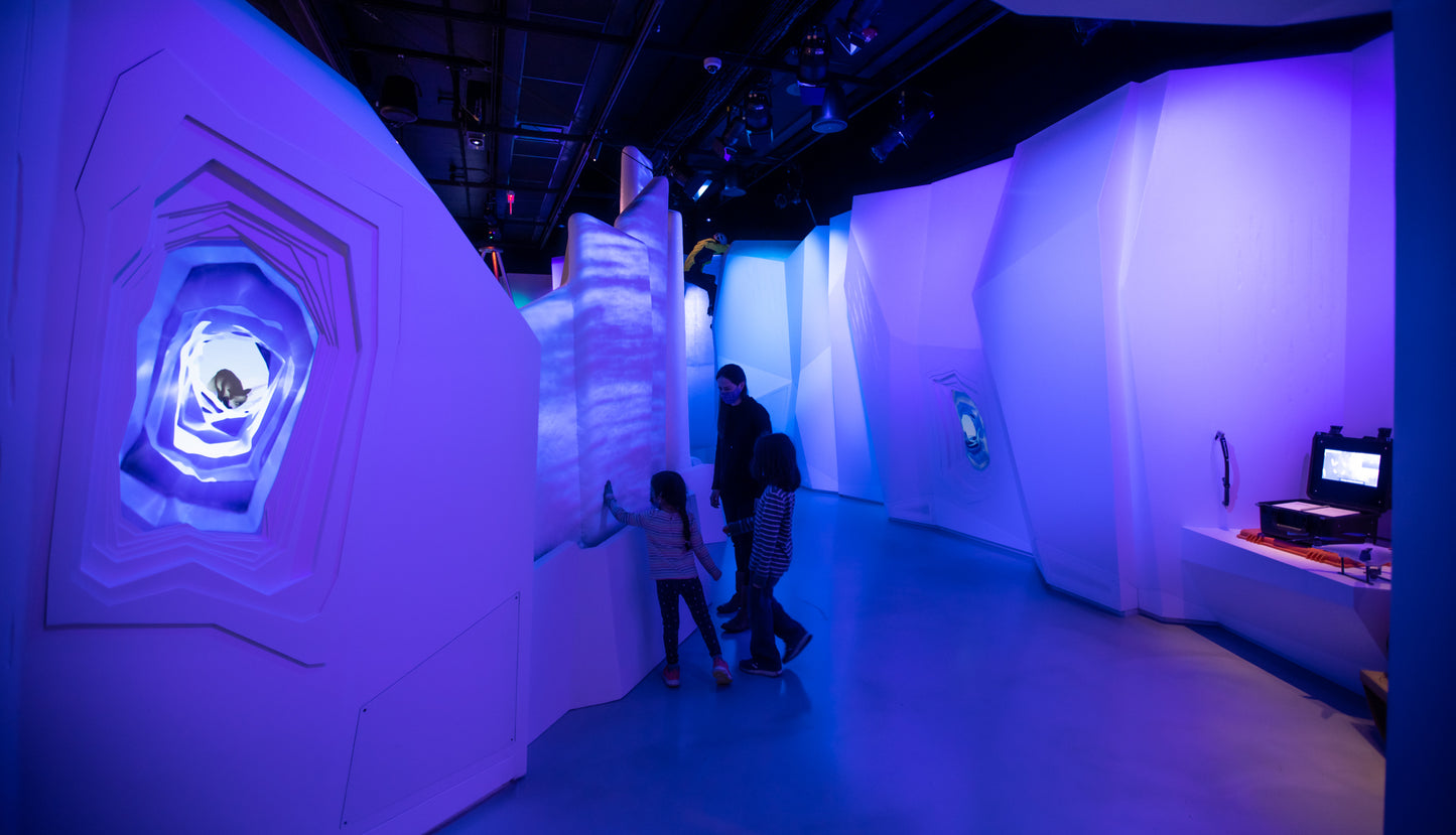Arctic Adventure : Une exposition immersive