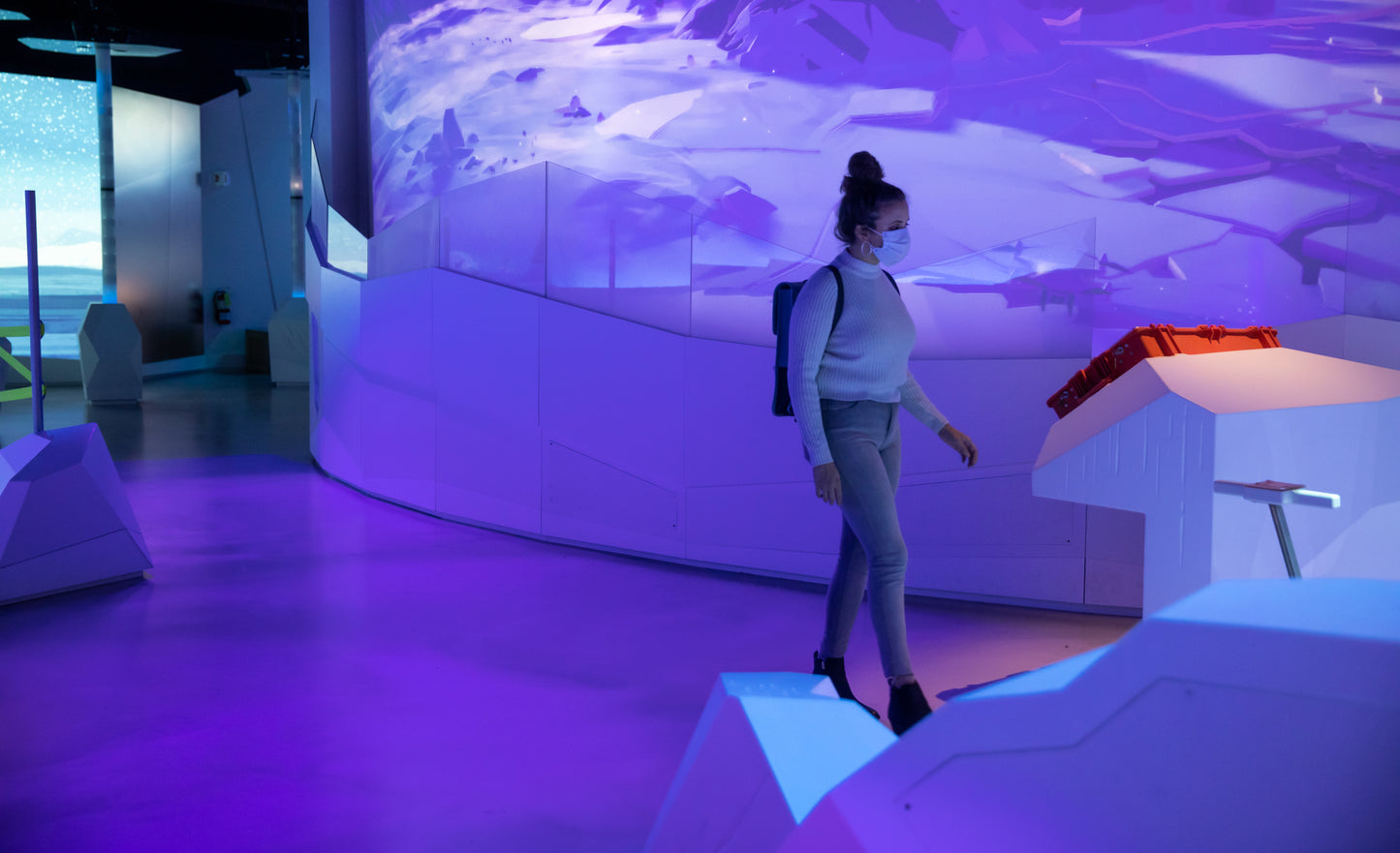Arctic Adventure : Une exposition immersive
