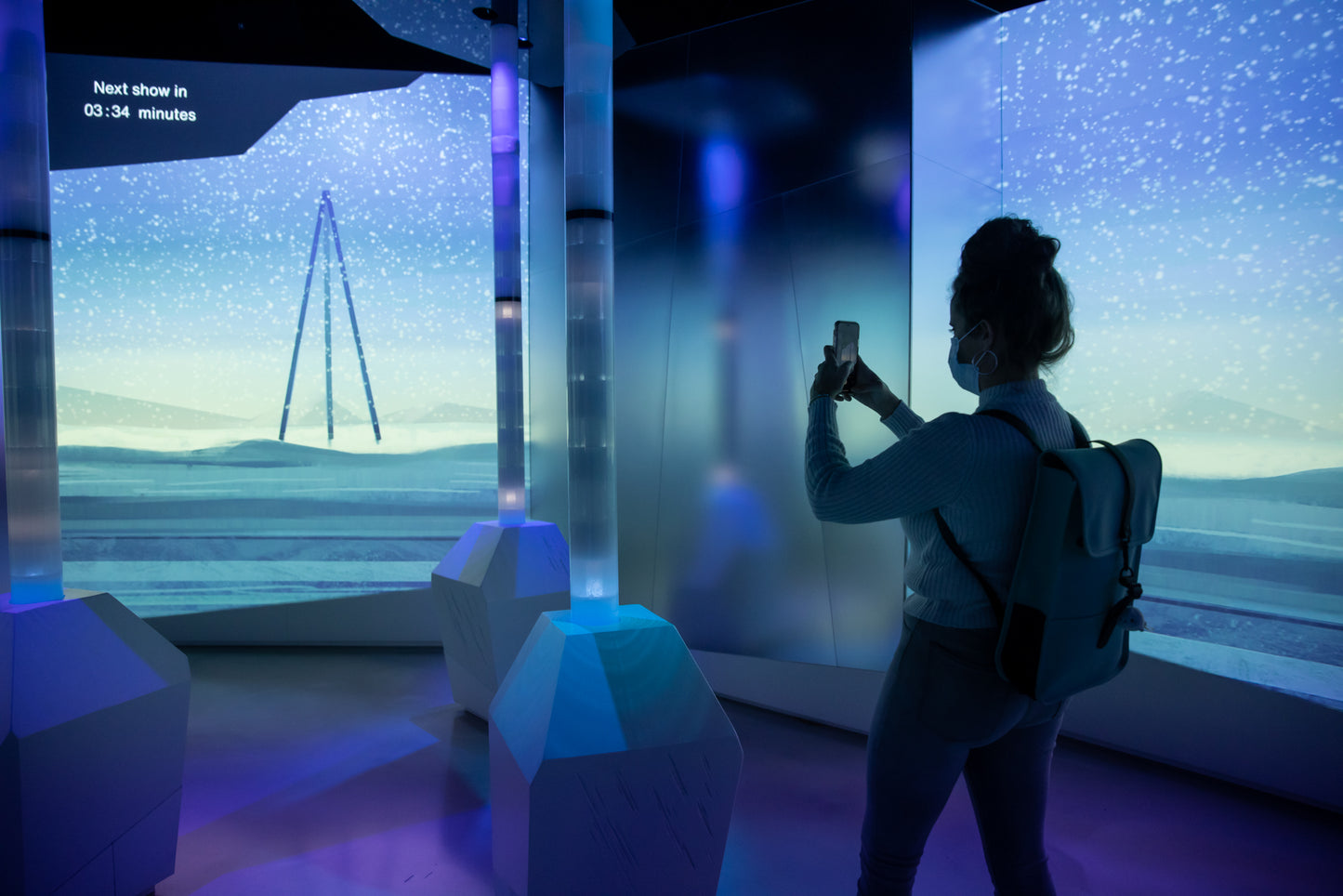 Arctic Adventure : Une exposition immersive