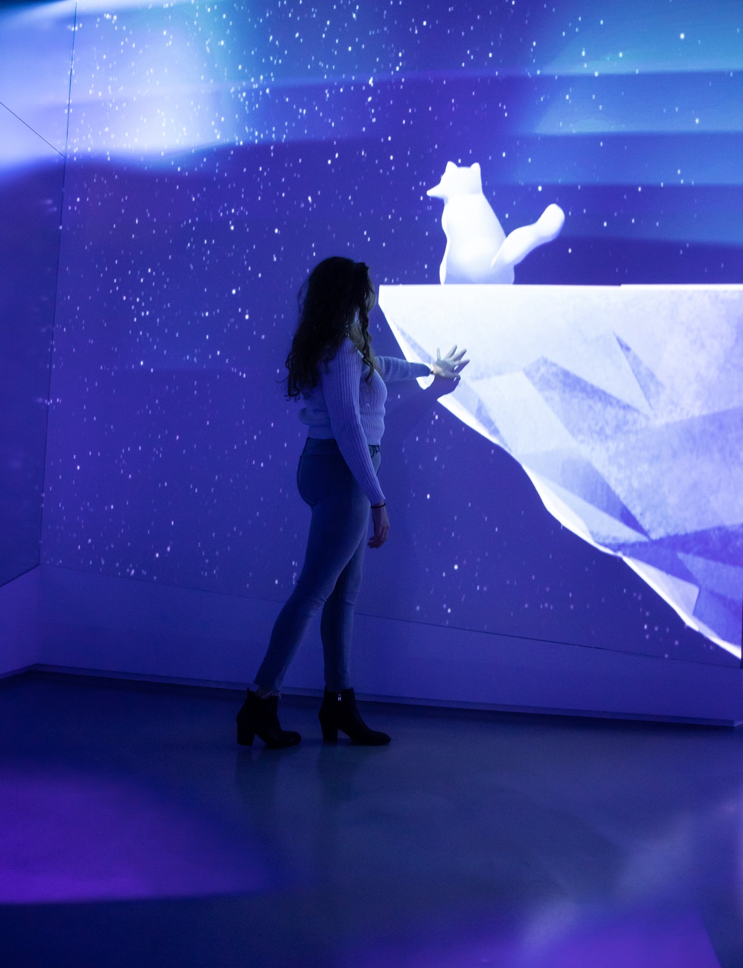 Arctic Adventure : Une exposition immersive
