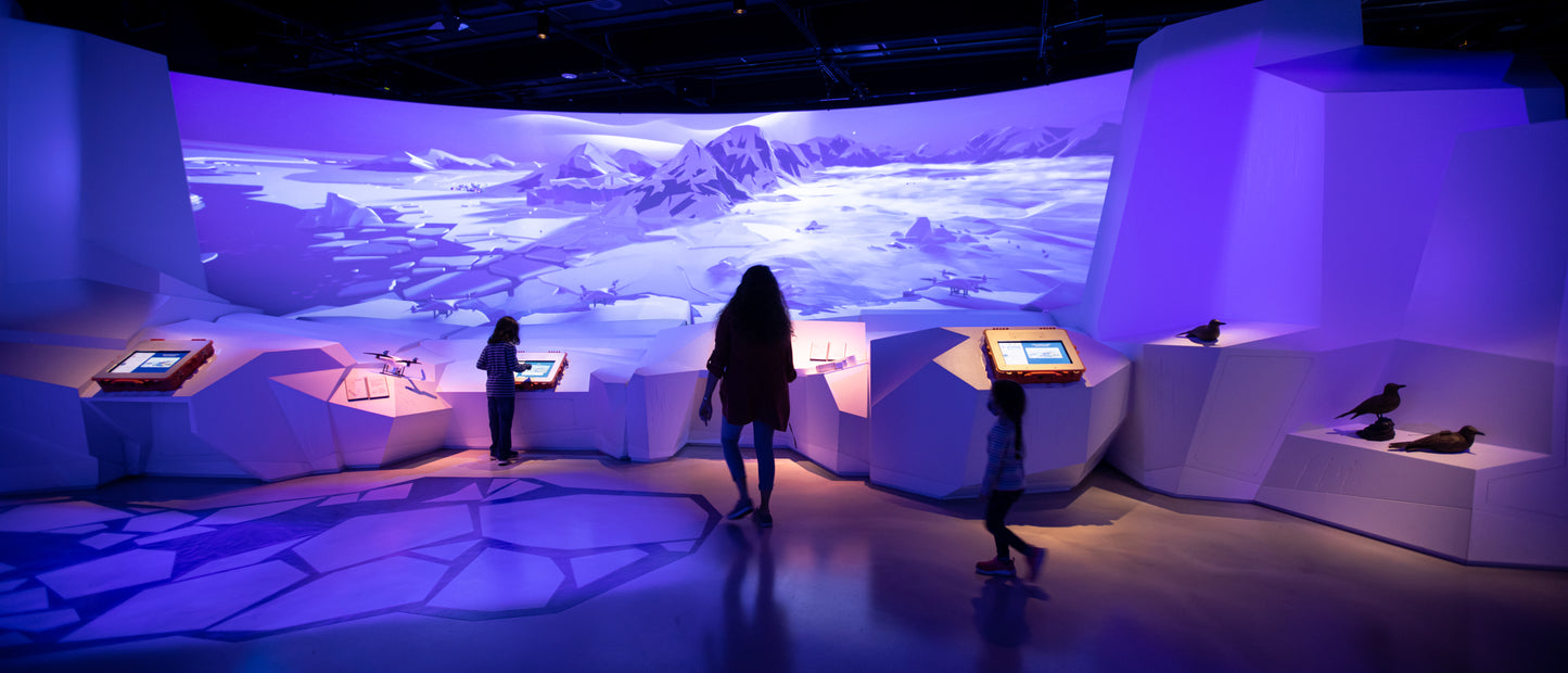 Arctic Adventure : Une exposition immersive