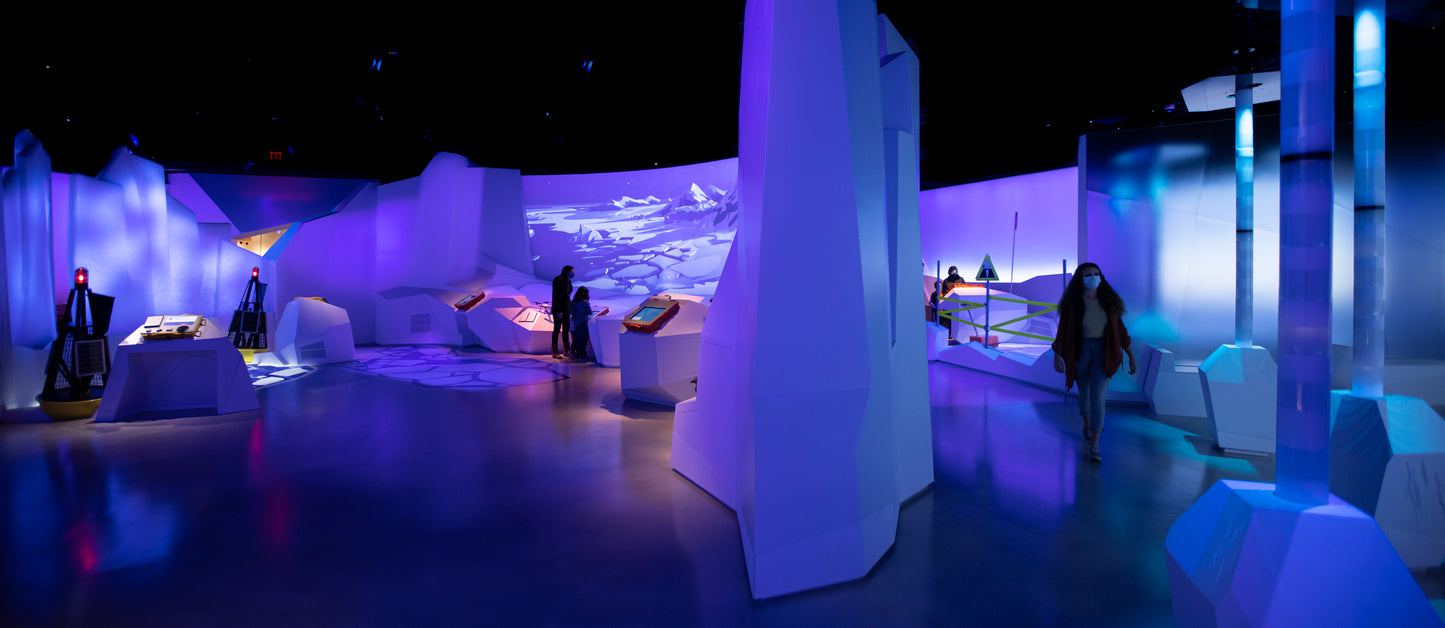 Arctic Adventure : Une exposition immersive