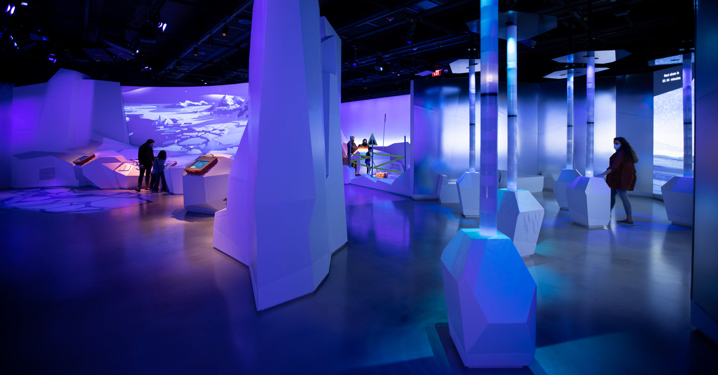 Arctic Adventure : Une exposition immersive