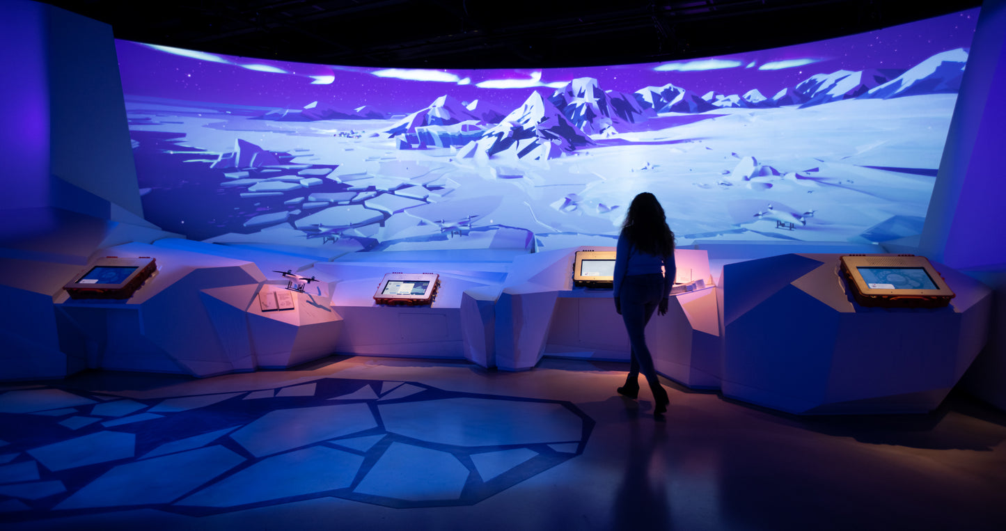 Arctic Adventure : Une exposition immersive