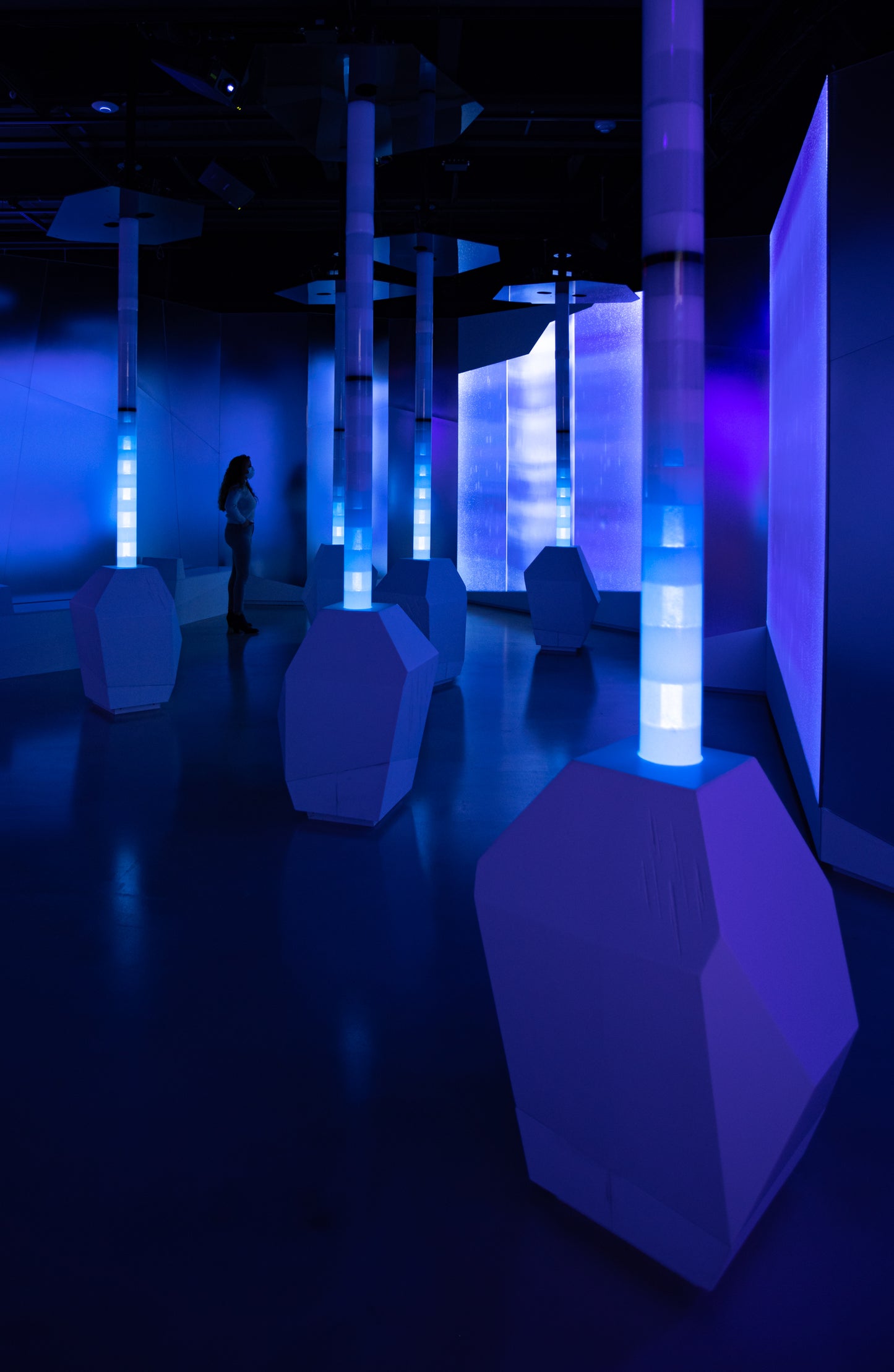 Arctic Adventure : Une exposition immersive