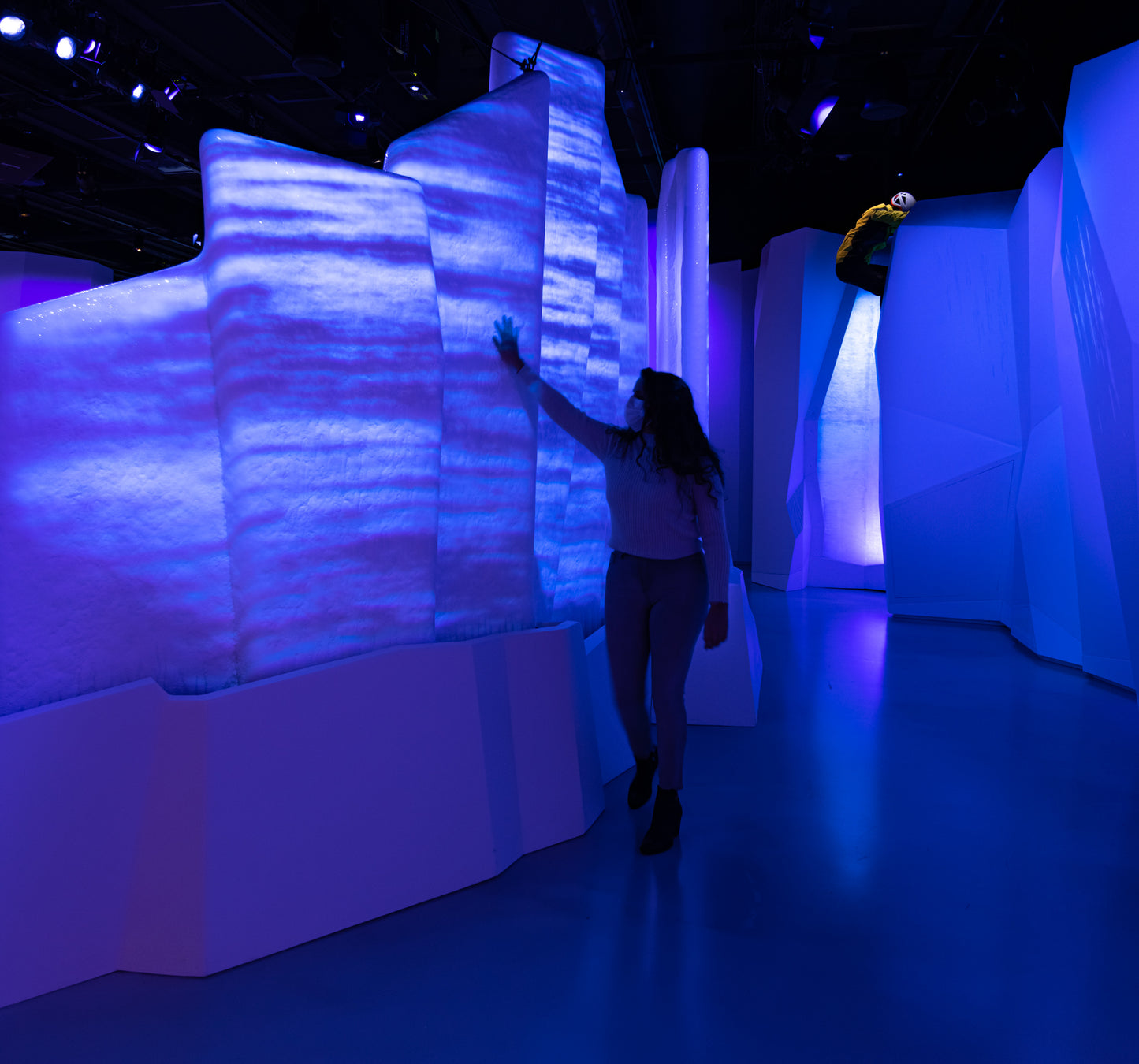 Arctic Adventure : Une exposition immersive