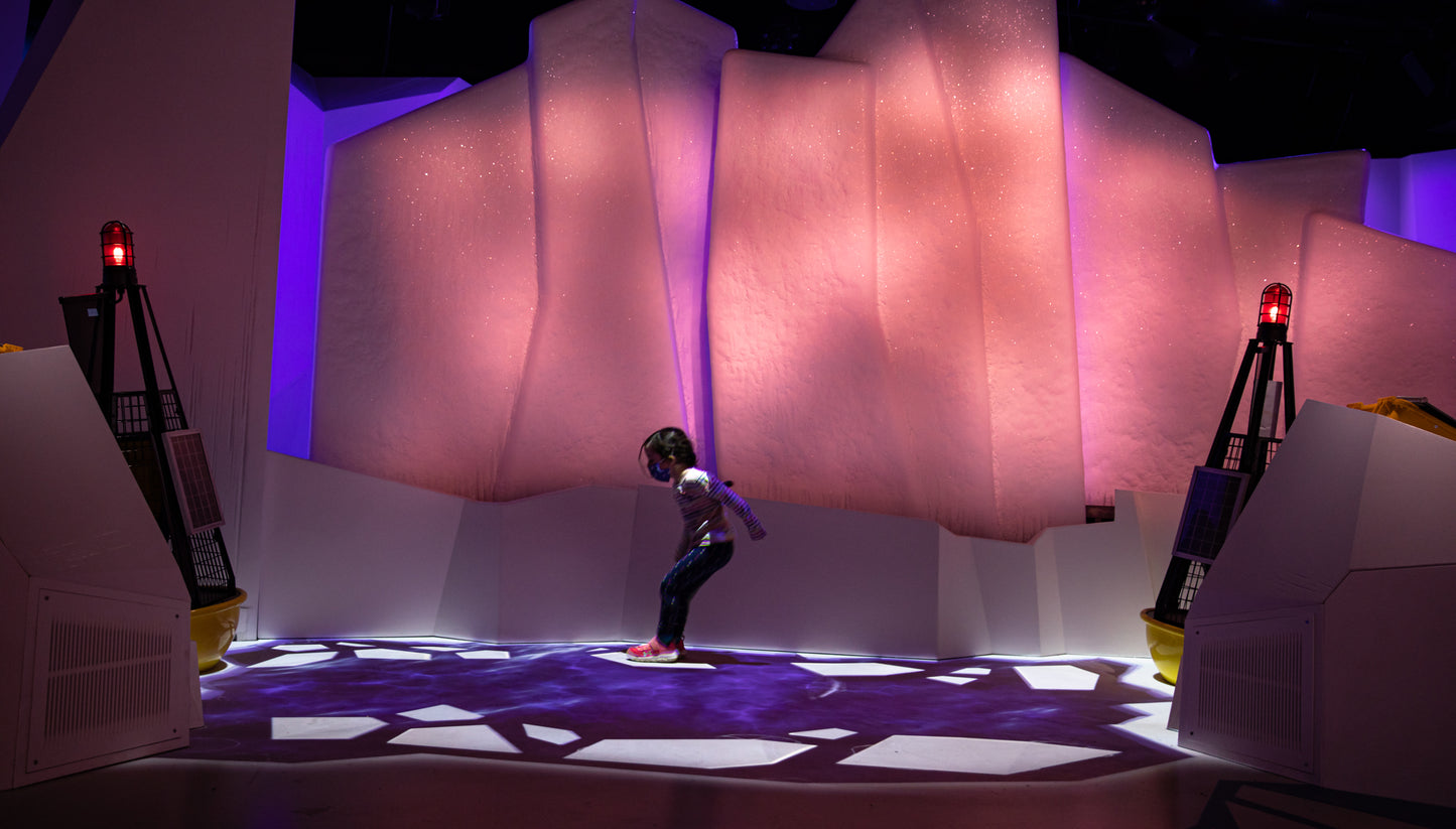 Arctic Adventure : Une exposition immersive