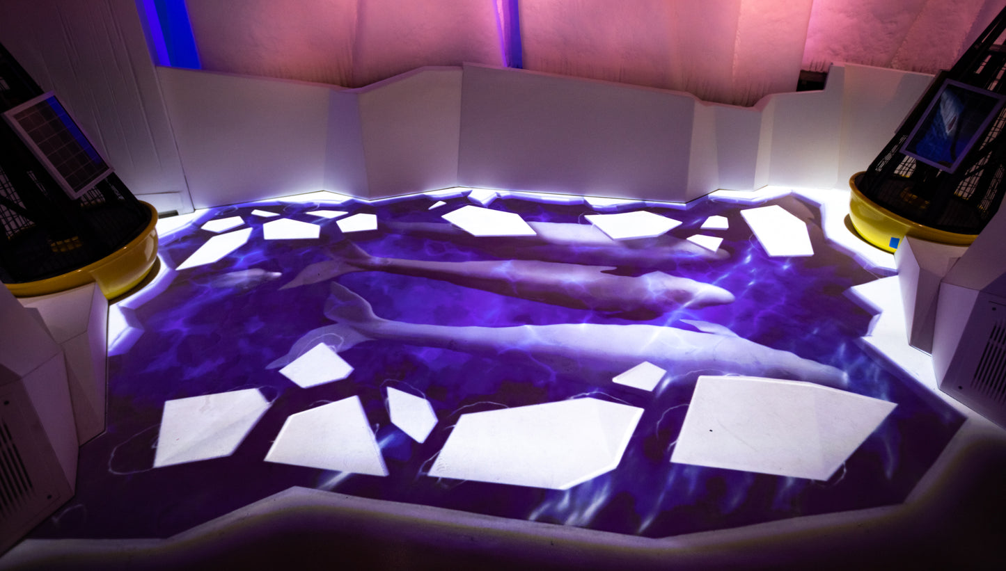 Arctic Adventure : Une exposition immersive