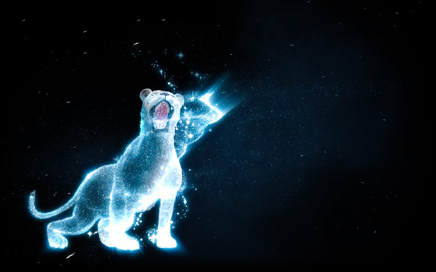 The Canadian Museum of Nature