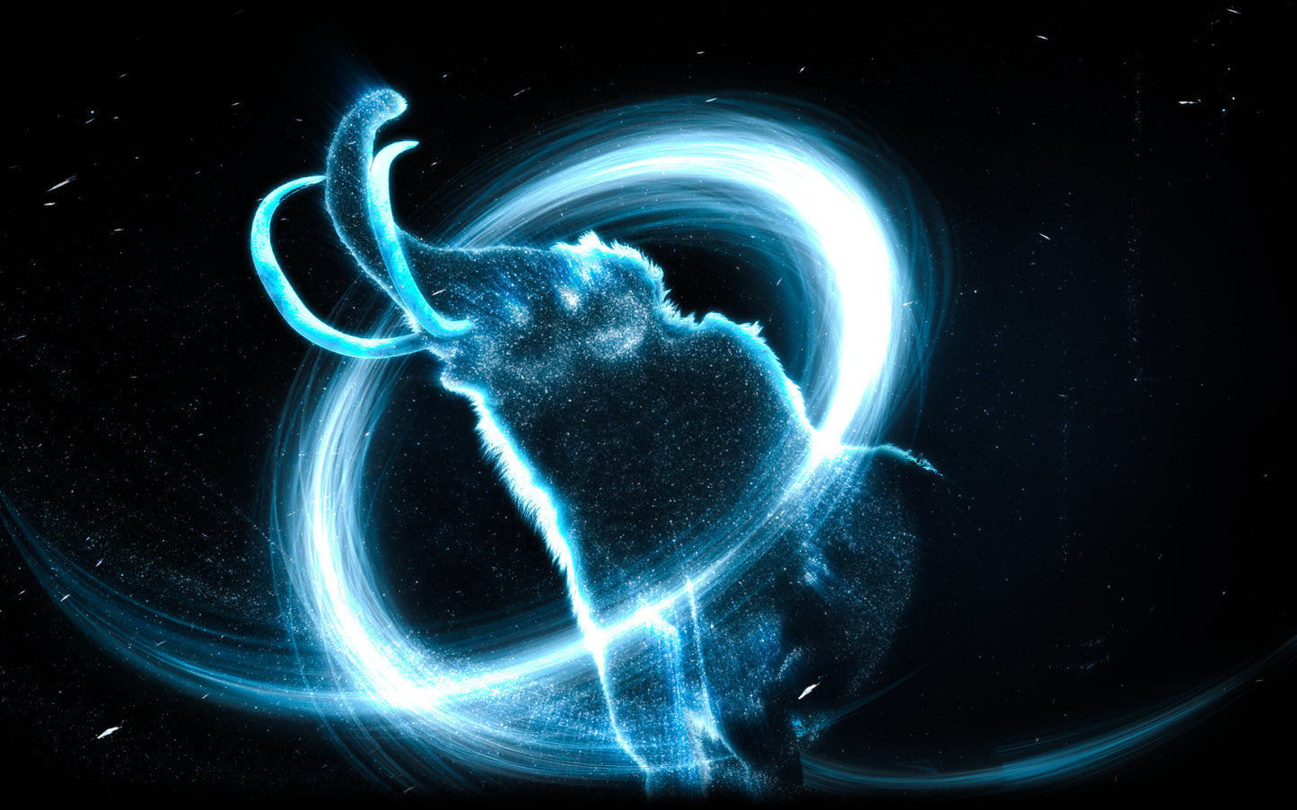 The Canadian Museum of Nature