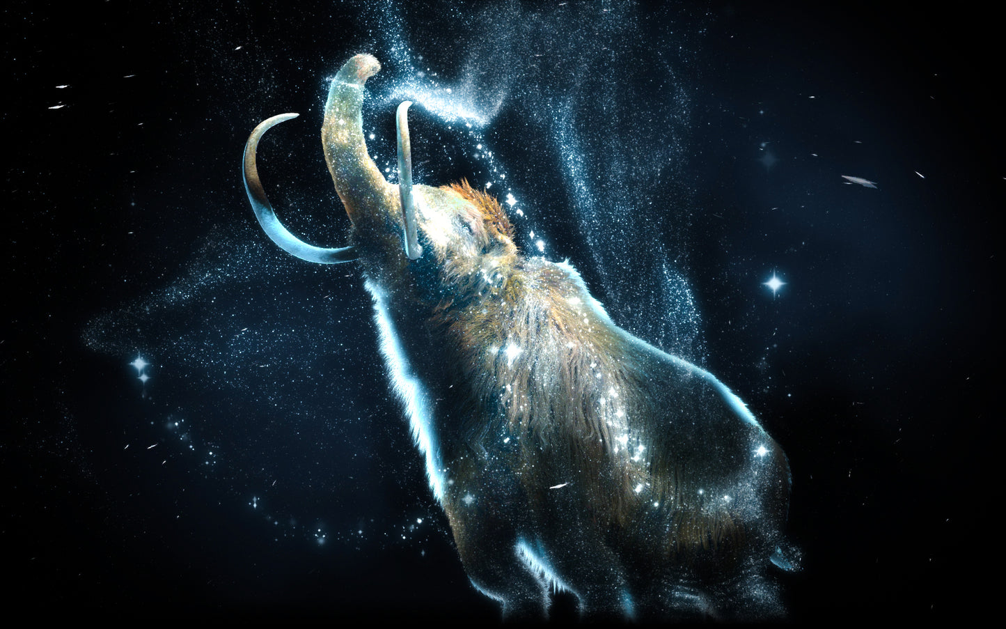 The Canadian Museum of Nature