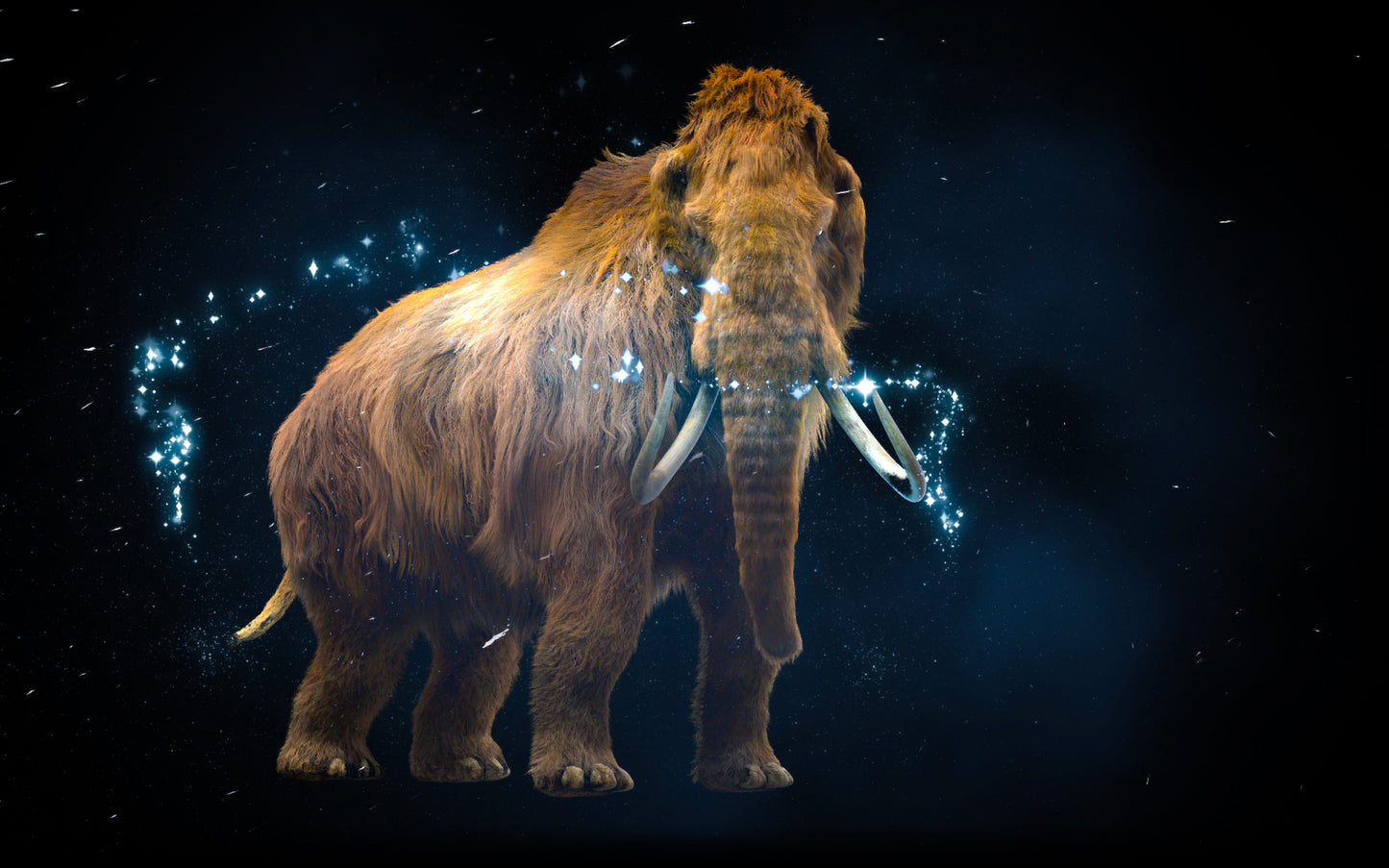 The Canadian Museum of Nature