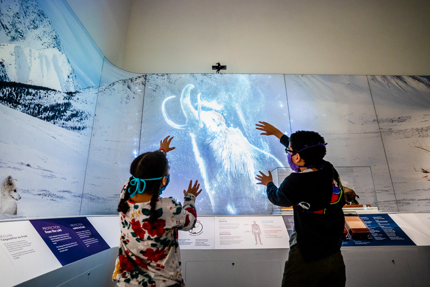 The Canadian Museum of Nature