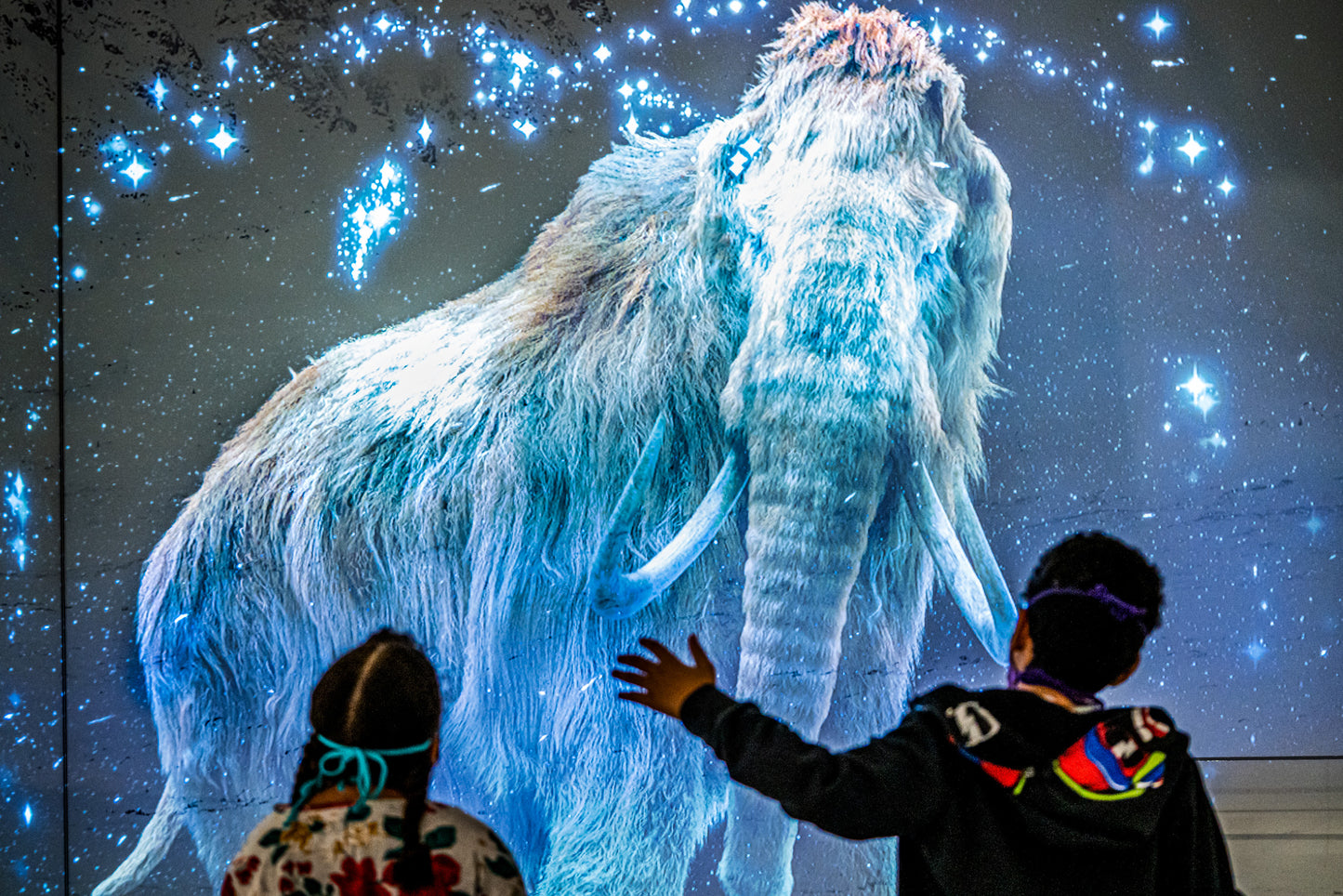 The Canadian Museum of Nature