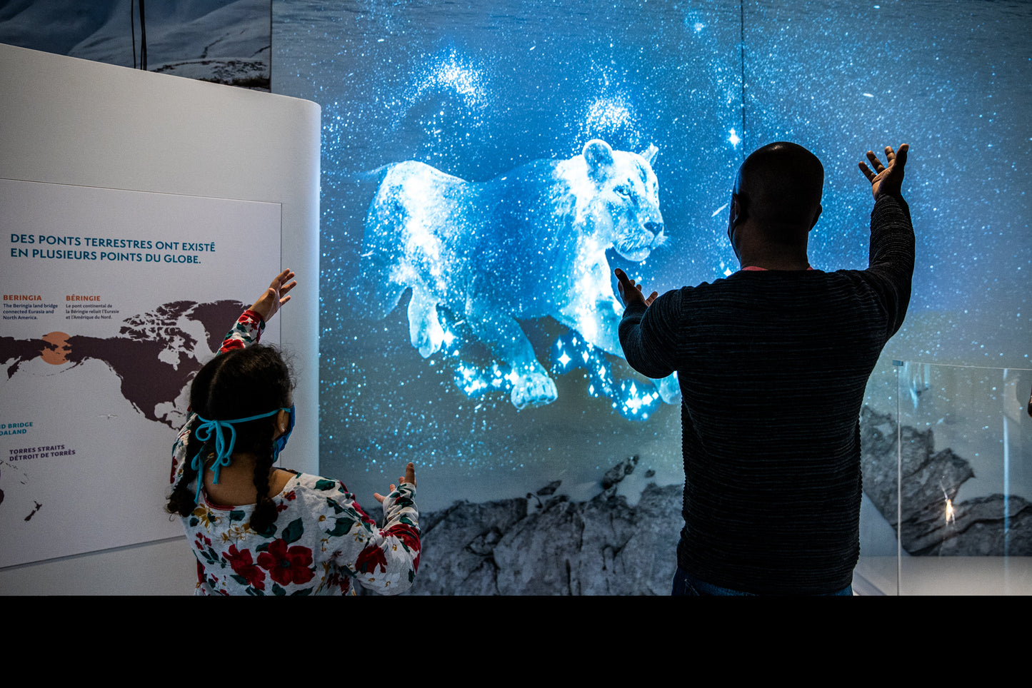 The Canadian Museum of Nature