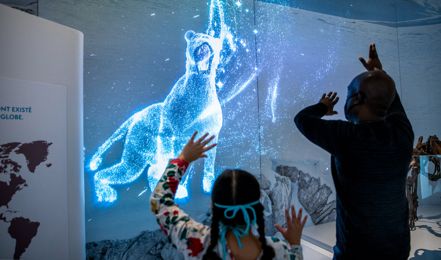 The Canadian Museum of Nature