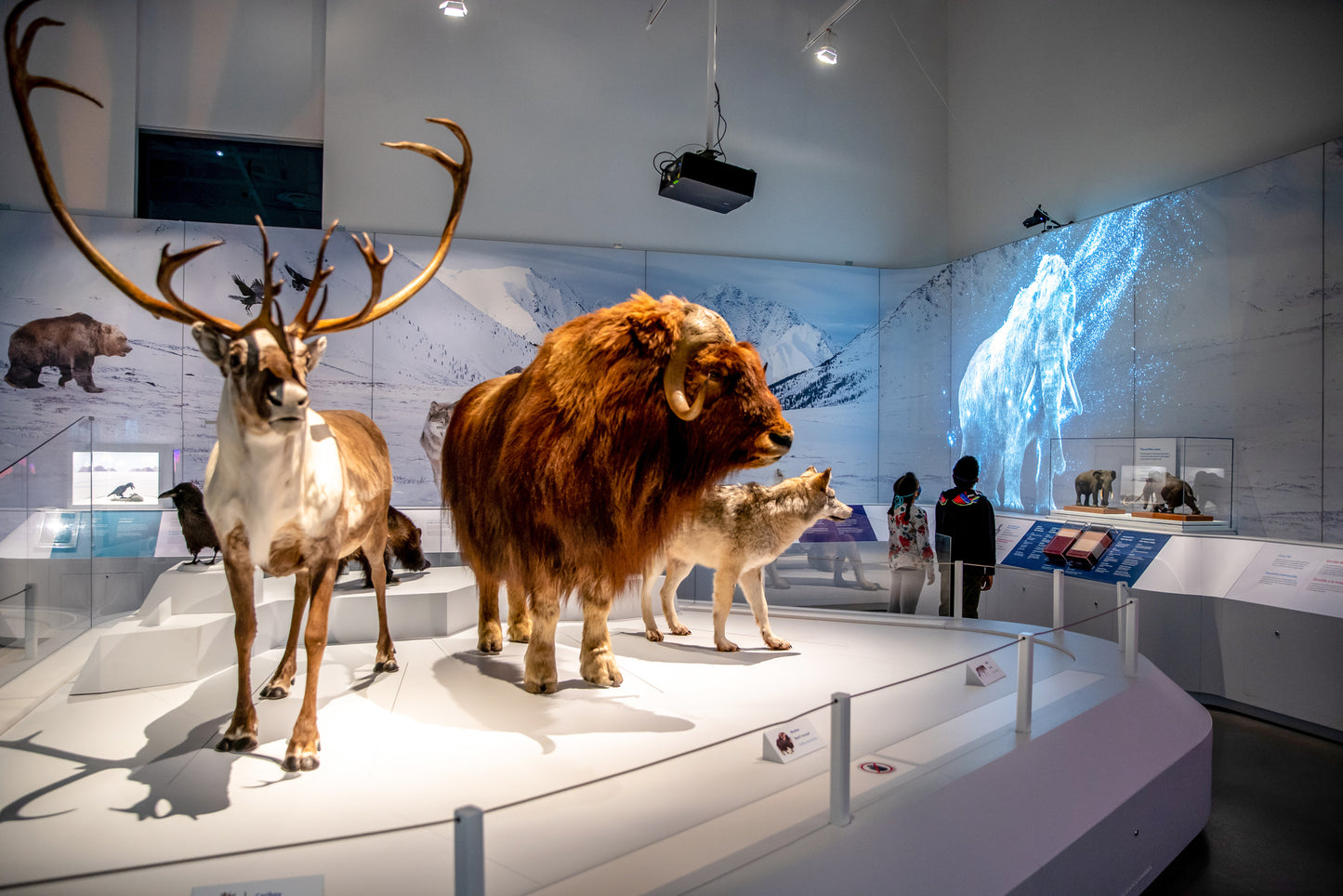The Canadian Museum of Nature