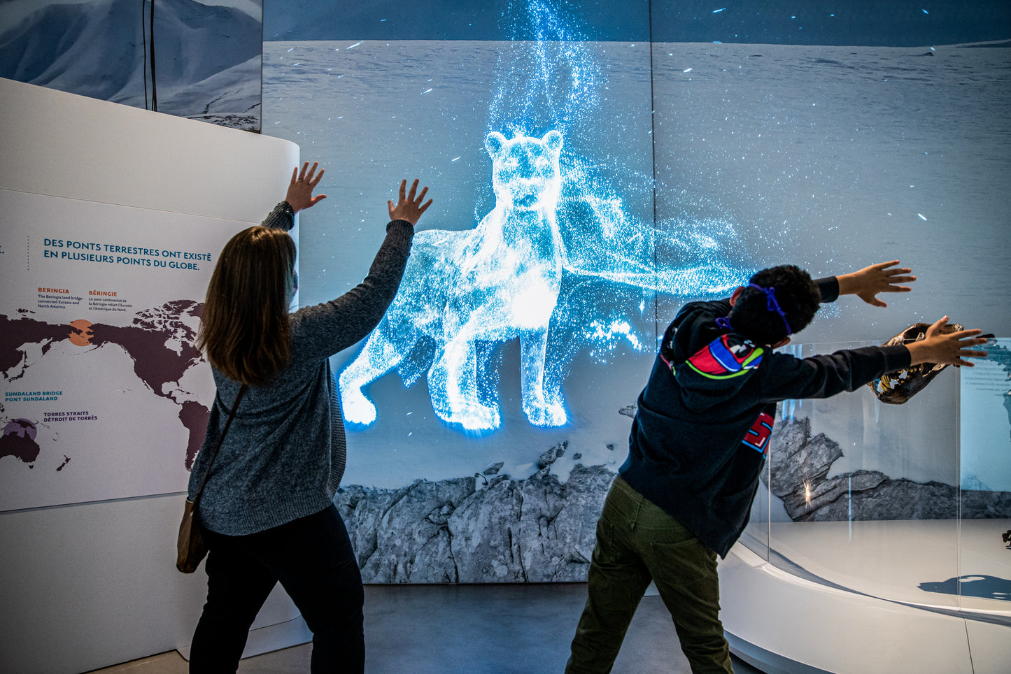 The Canadian Museum of Nature