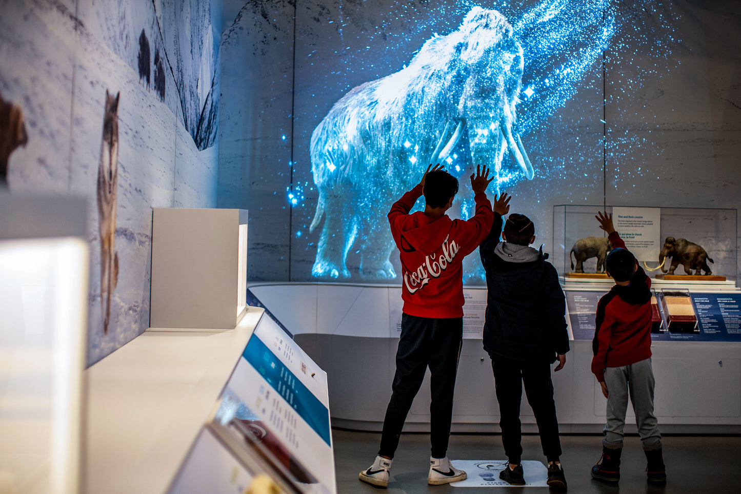 The Canadian Museum of Nature