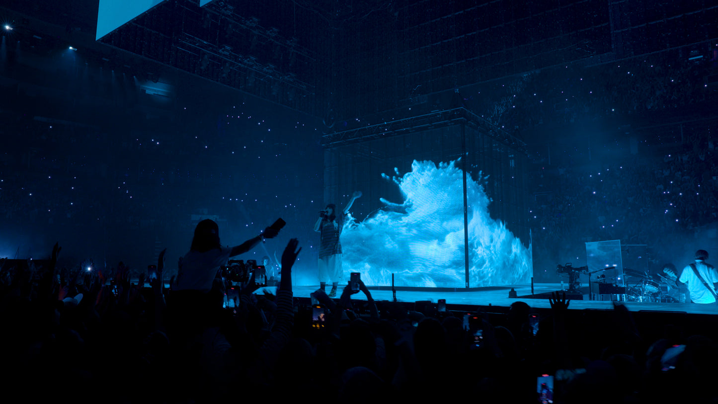 Billie Eilish | HIT ME HARD AND SOFT | The Tour