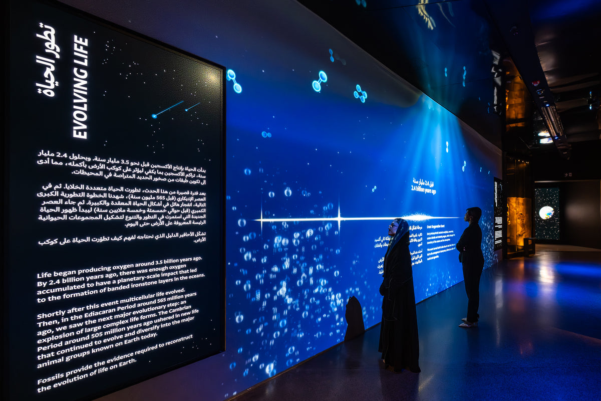 Natural History Museum Abu Dhabi: The Story of Earth