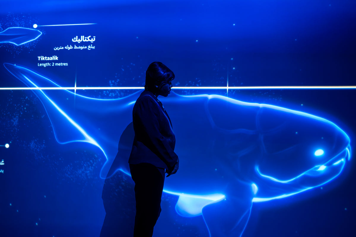 Natural History Museum Abu Dhabi: The Story of Earth