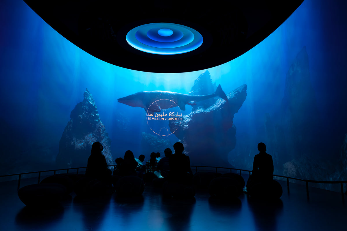 Natural History Museum Abu Dhabi: Life's Journey