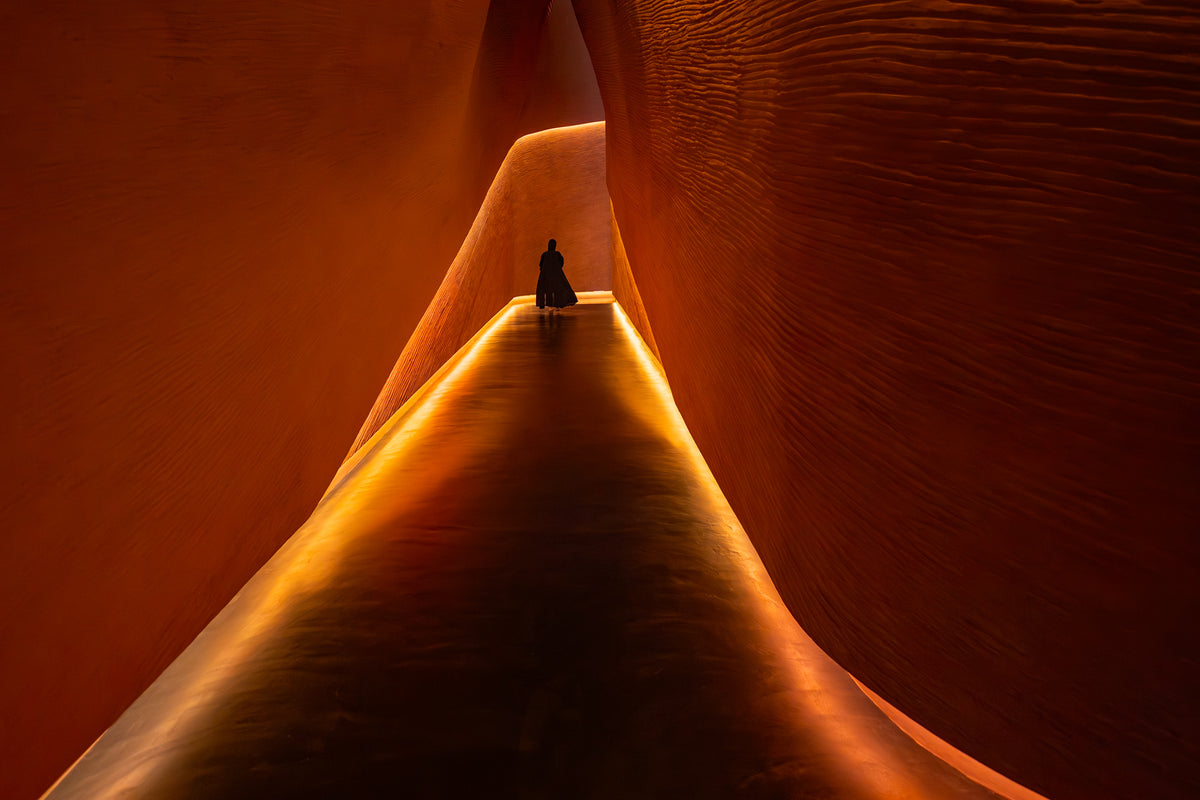 Natural History Museum Abu Dhabi: Life's Journey