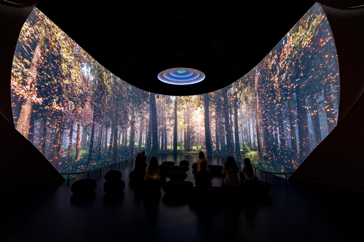 Natural History Museum Abu Dhabi: Life's Journey