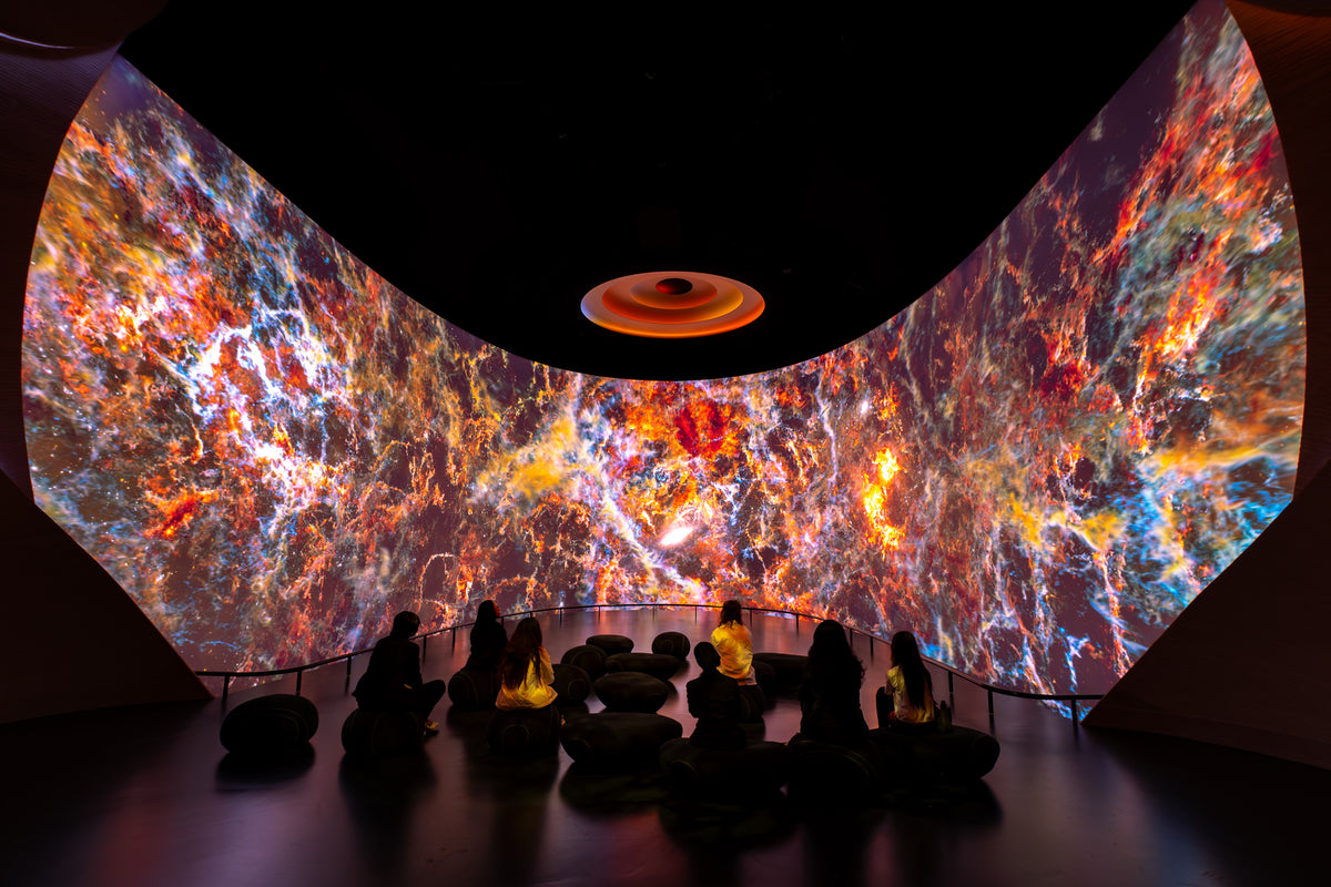 Natural History Museum Abu Dhabi: Life's Journey