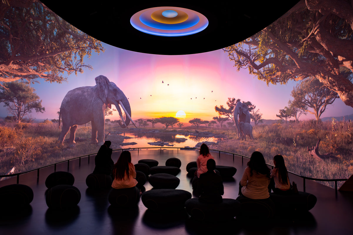 Natural History Museum Abu Dhabi: Life's Journey