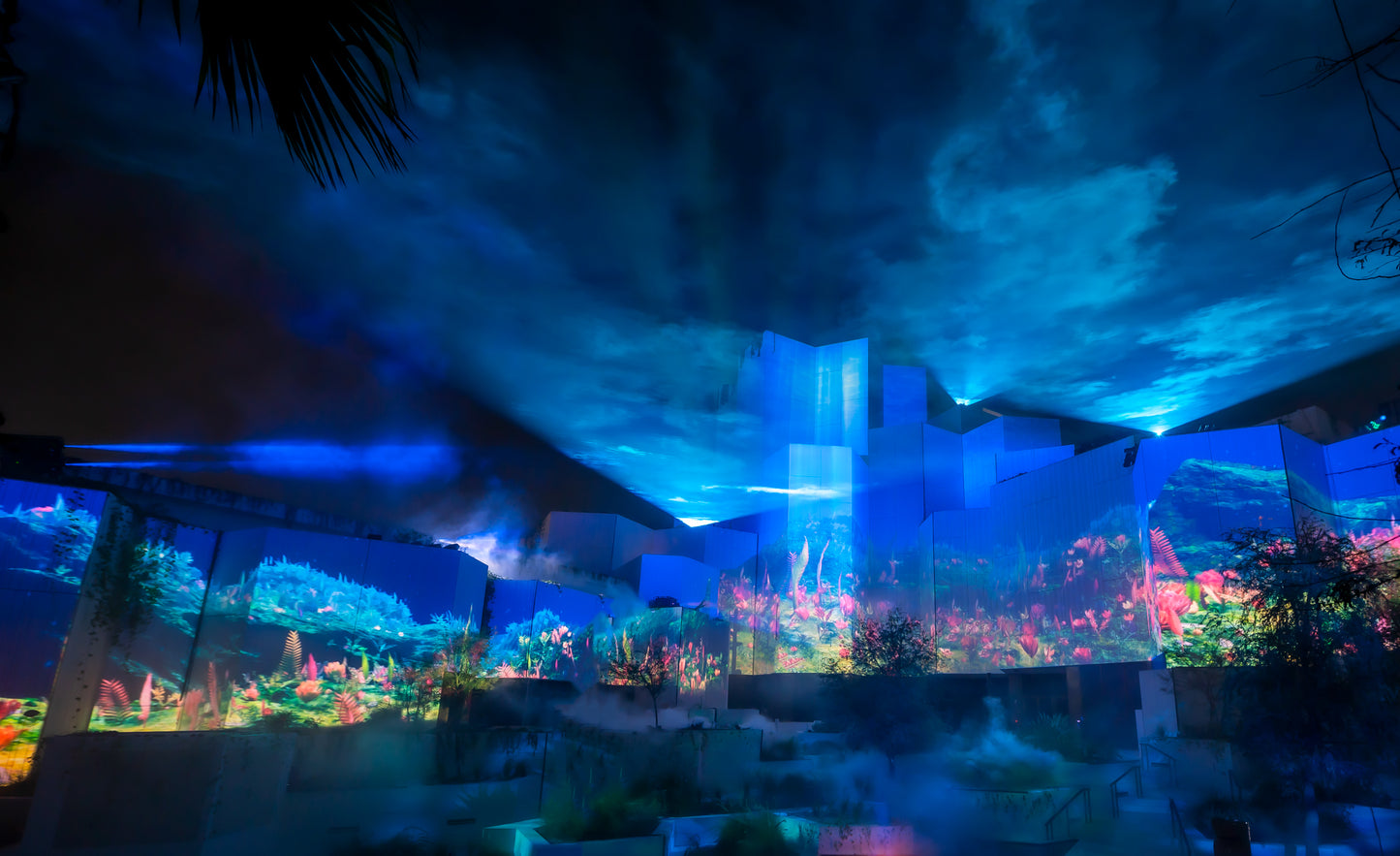 Natural History Museum Abu Dhabi Opening Ceremony