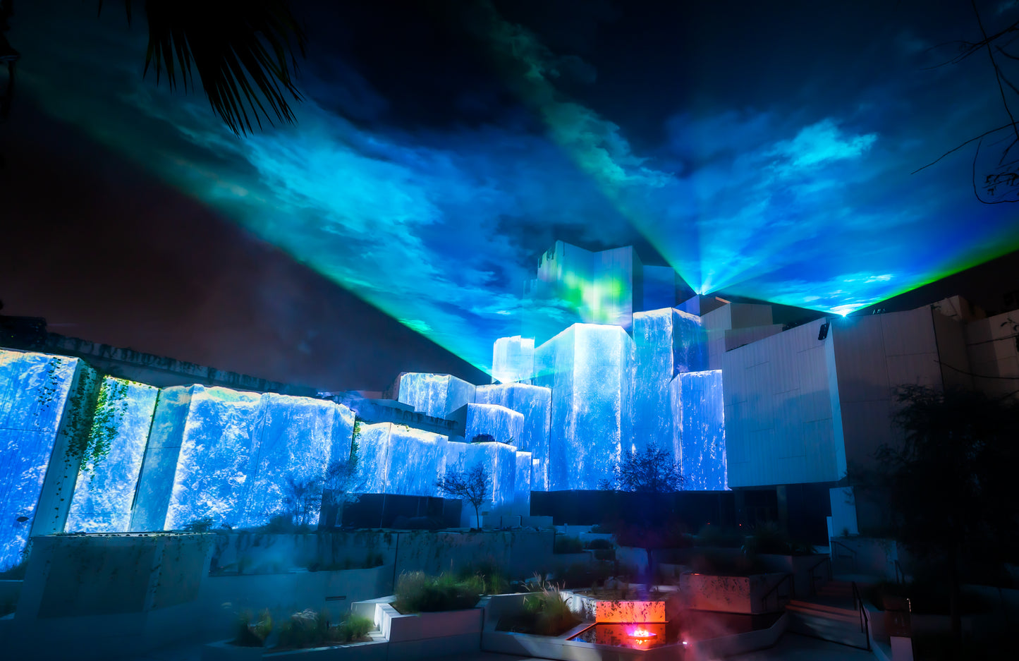 Natural History Museum Abu Dhabi Opening Ceremony