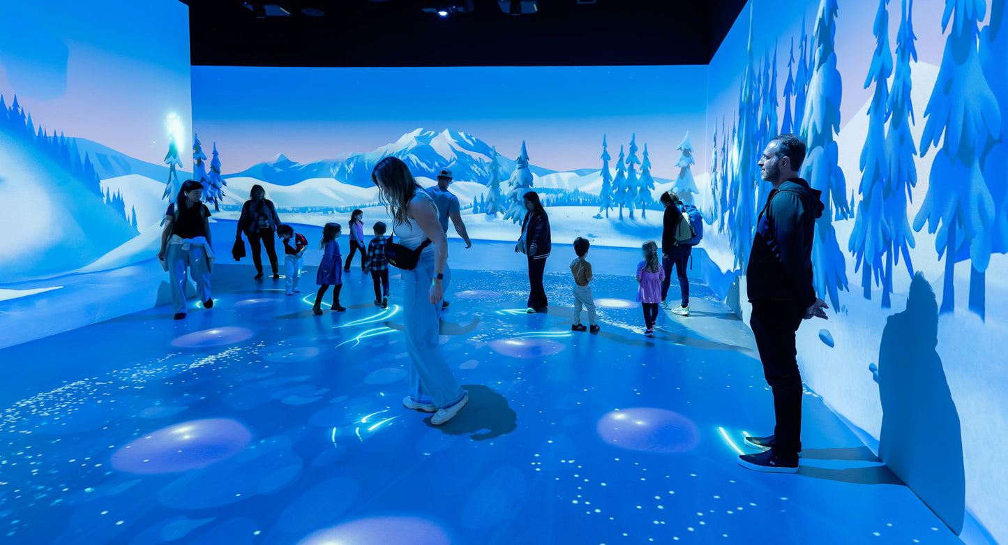 Animation Adventure with Molly of Denali