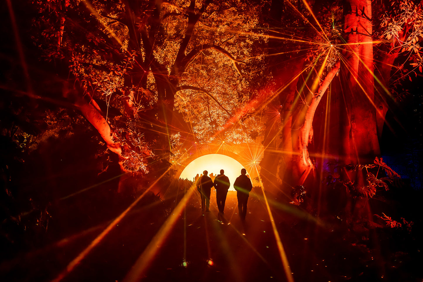 Light Cycles Mexico City