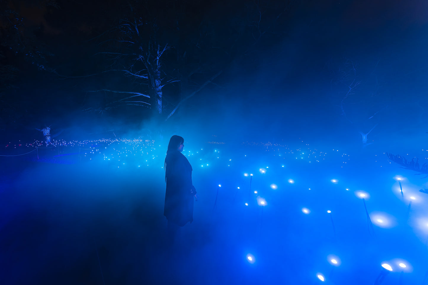 Light Cycles Mexico City