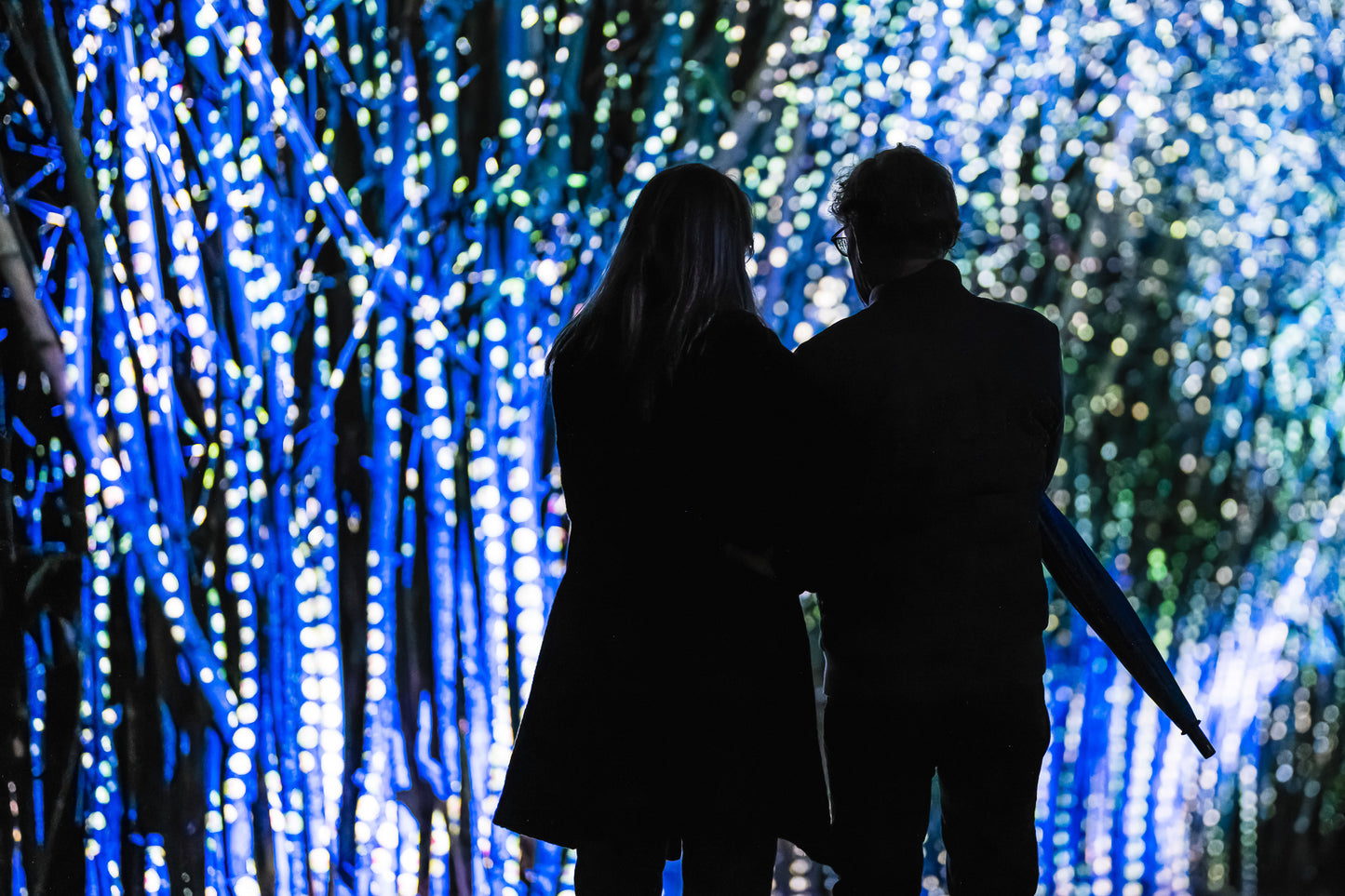 Light Cycles Mexico City