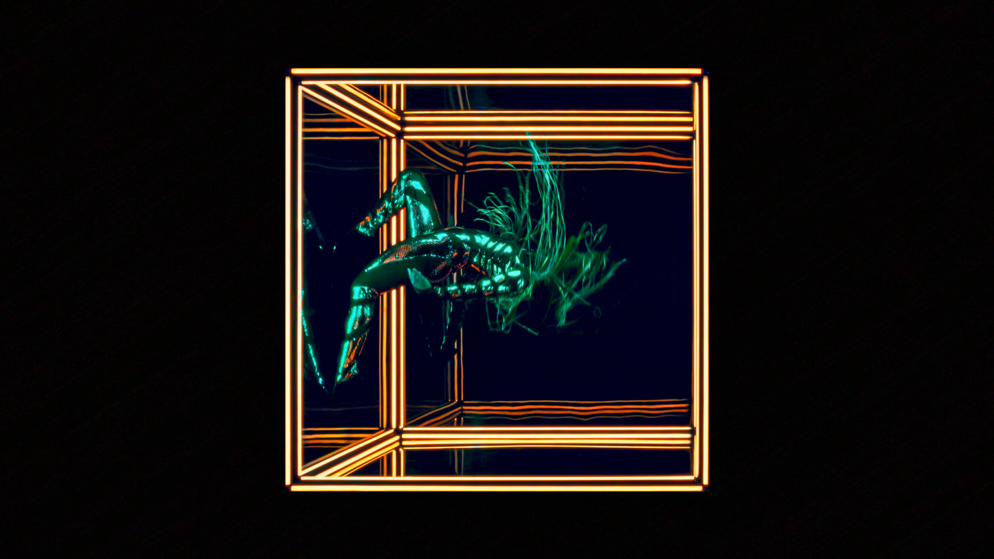 Falling par Royal Caribbean