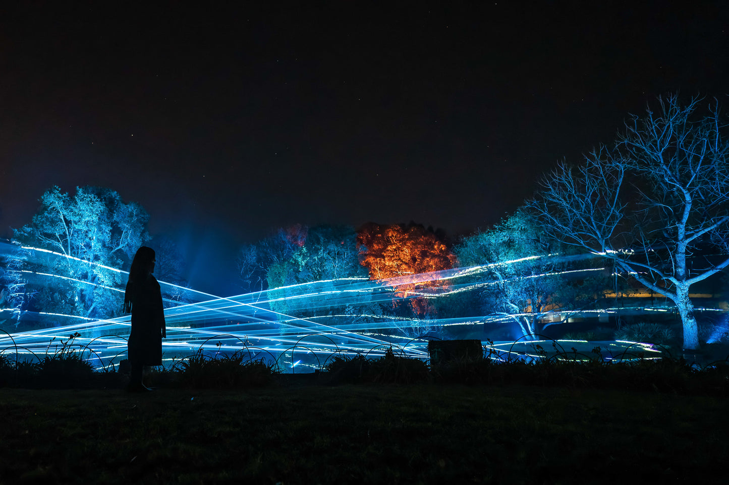 Light Cycles Mexico City