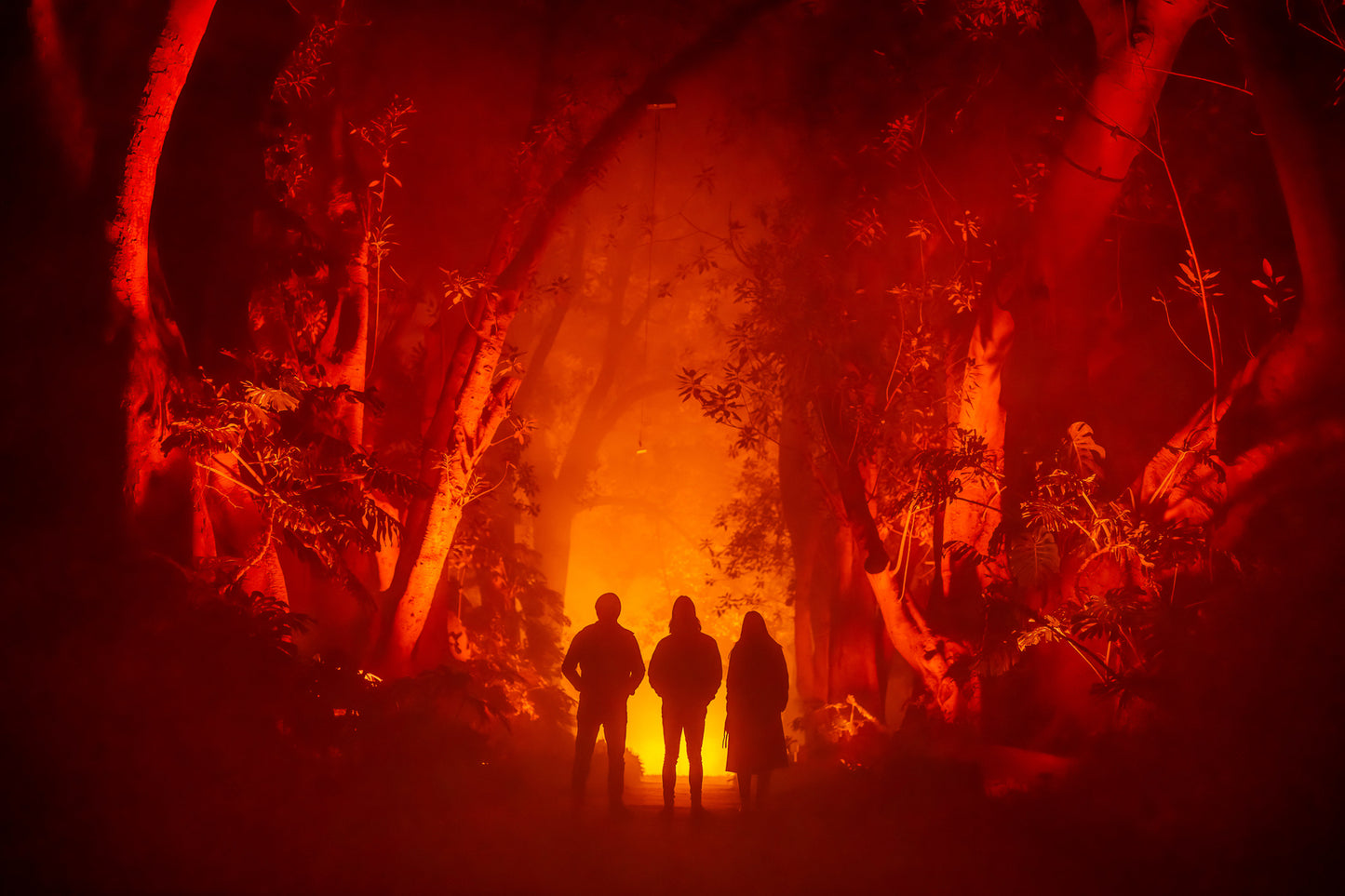 Light Cycles Mexico City