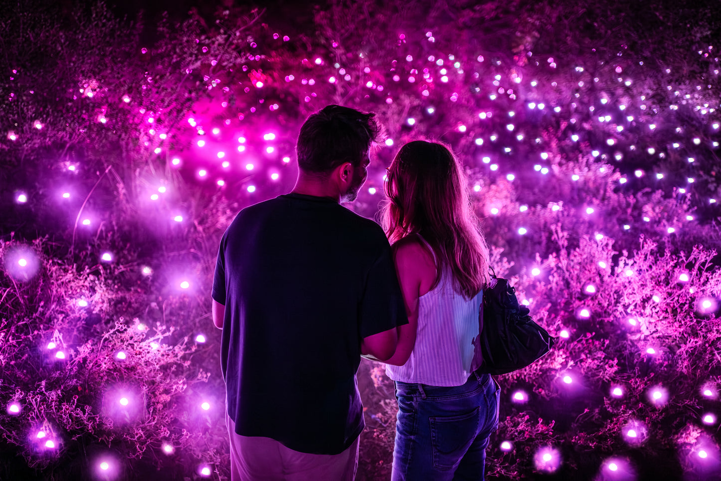 Astra Lumina Los Angeles