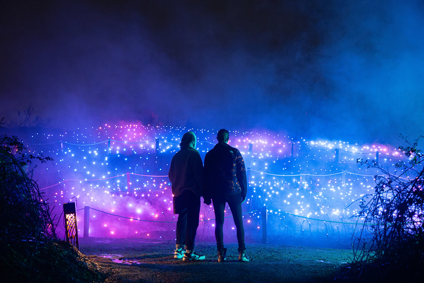 Astra Lumina Los Angeles