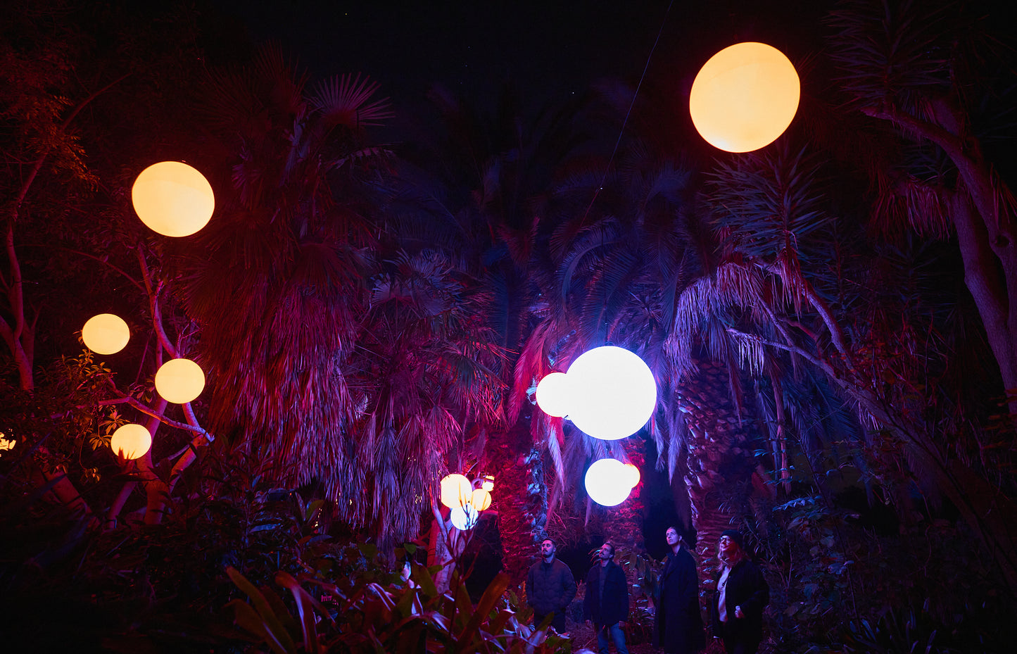 Astra Lumina Los Angeles