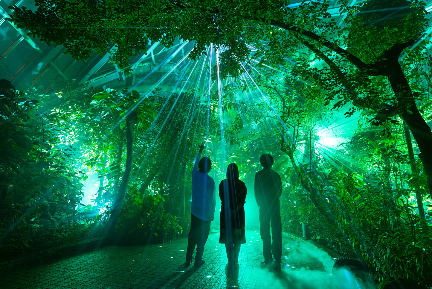 Light Cycles Mexico City