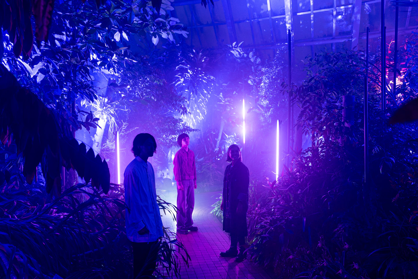 Light Cycles Mexico City