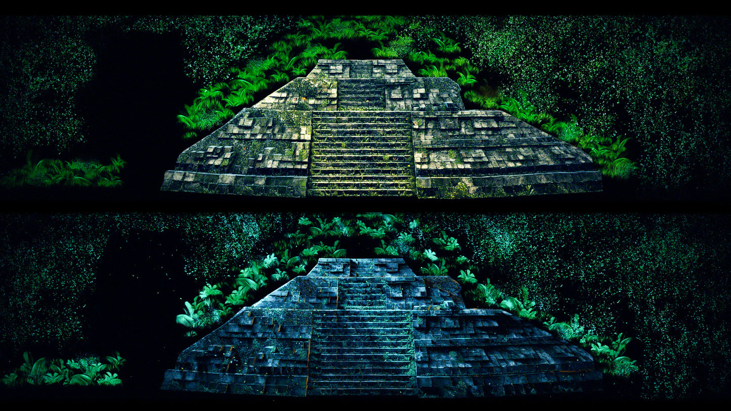 Rhythms of the Night - SAVIA